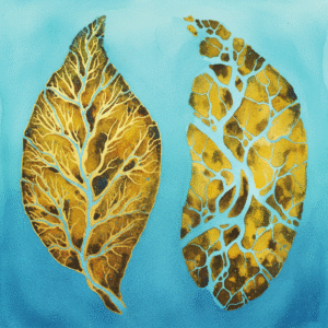 Alluvial Fans vs. River Deltas Key Geographical Differences Explained (3)