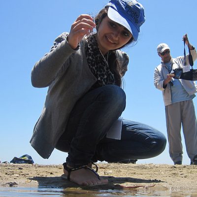 Collecting Water Samples for Hydraulic Data Analysis