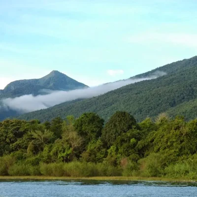 Gombe Stream River Mixer
