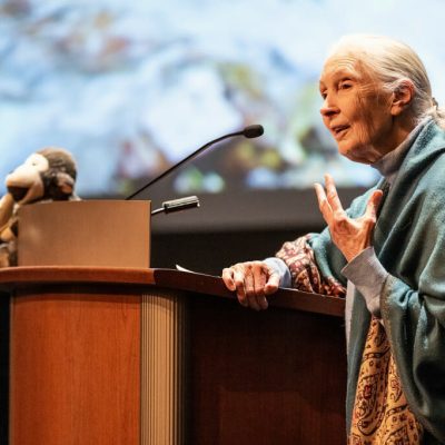 Jane Godall River Mixer