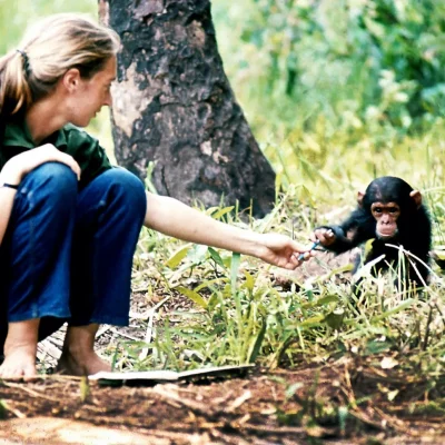 Jane with Chimps River Mixer