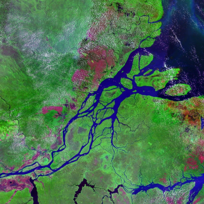 Satelite View of Marajo Island River Mixer Satelite View of Marajo Island River Mixer