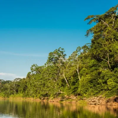 heath-river-peruvian-amazon-jungle-madre-de-dios-peru-35861805